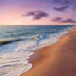 Meet your Posher, Lissa